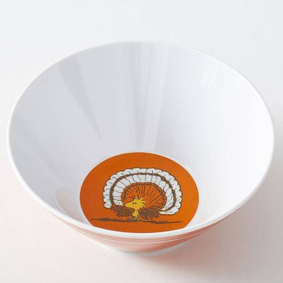 Pottery Barn Woodstock Peanuts Plate Bowl Cup Set - Thanksgiving Turkey Snoopy - Picture 3 of 7